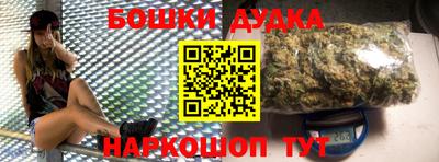 spice Новодвинск