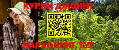 spice Новодвинск