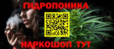spice Новодвинск