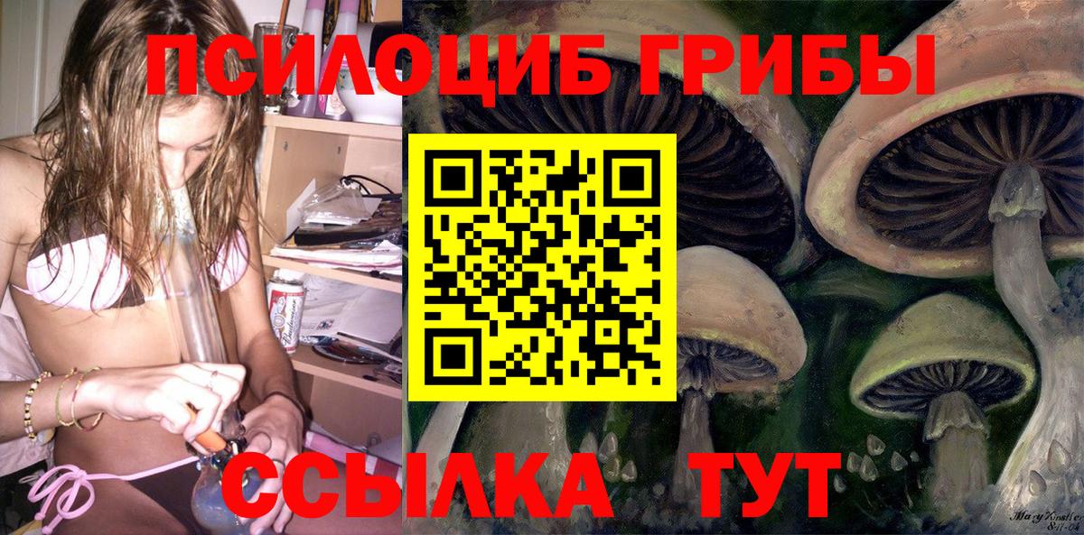 Уварово  Галлюциногенные грибы Psilocybine cubensis  Вход с VPN  Галлюциногенные грибы Psilocybine cubensis 
